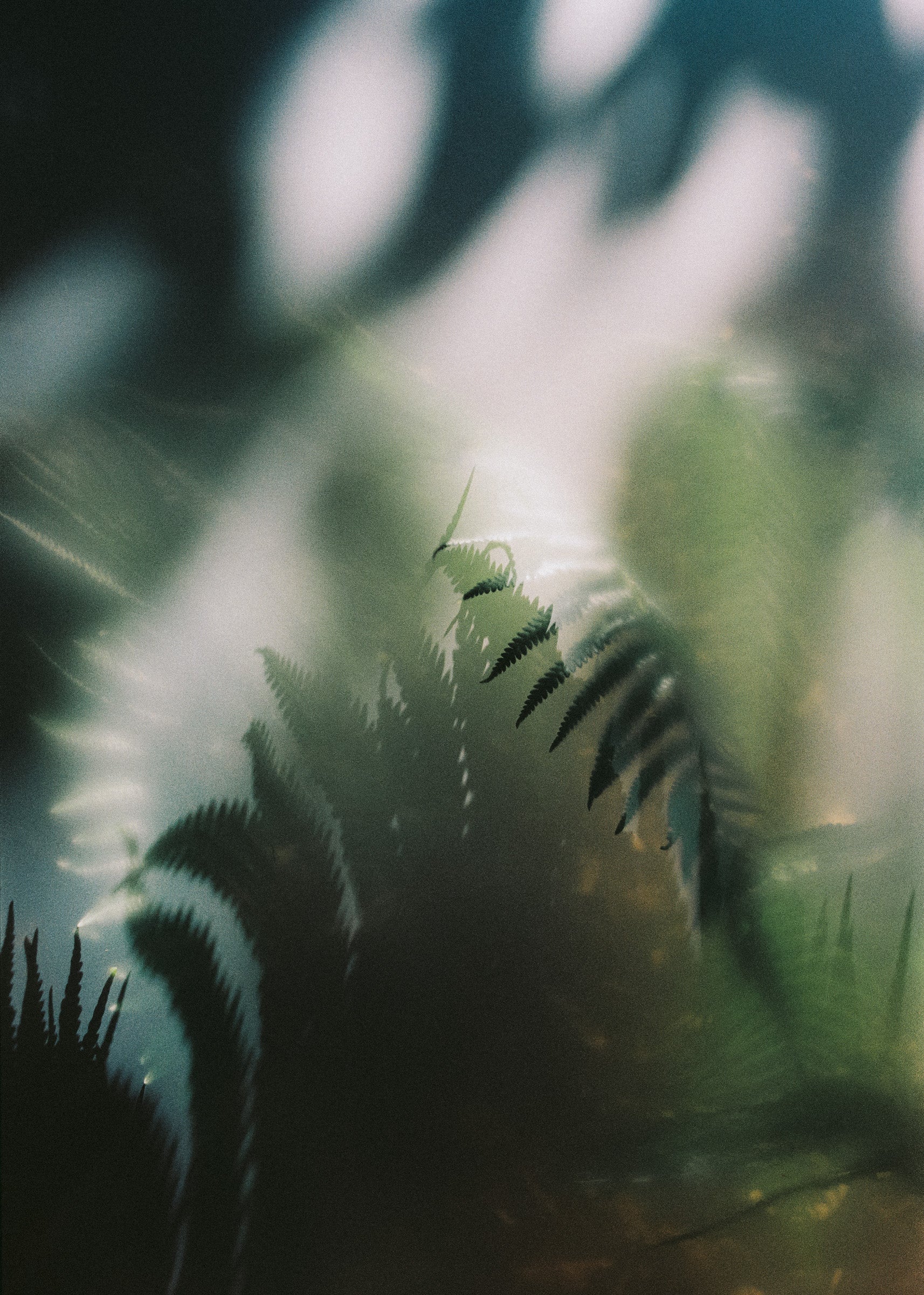 Steam Eau de Parfum 50ml